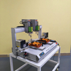 Equipo de destornillador de motor servo de alta precisión con mecanismo de alimentación de tornillo automático dual y cabezales de controlador gemelo para aplicaciones de fijación industrial en entornos de fábrica