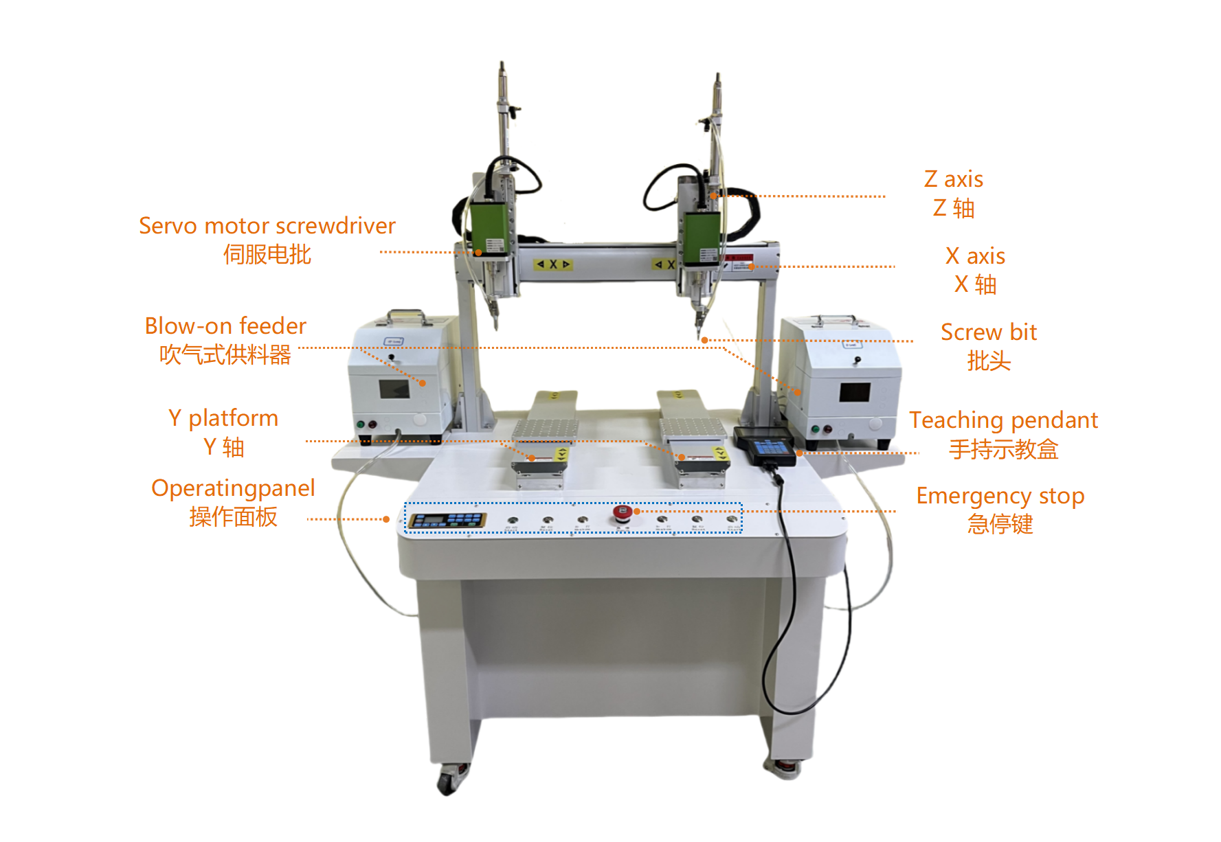 ajuste de la fijaci&oacute;n